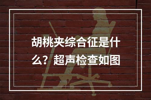 胡桃夹综合征是什么？超声检查如图