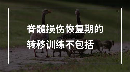 脊髓损伤恢复期的转移训练不包括