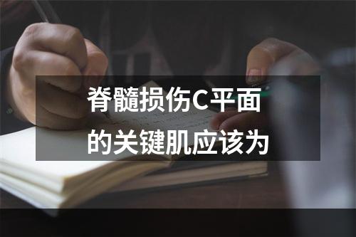 脊髓损伤C平面的关键肌应该为