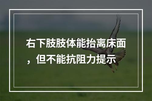 右下肢肢体能抬离床面，但不能抗阻力提示