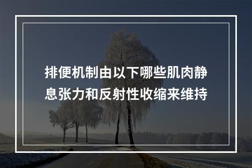 排便机制由以下哪些肌肉静息张力和反射性收缩来维持