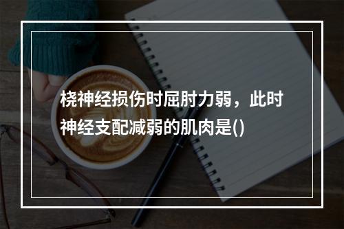 桡神经损伤时屈肘力弱，此时神经支配减弱的肌肉是()