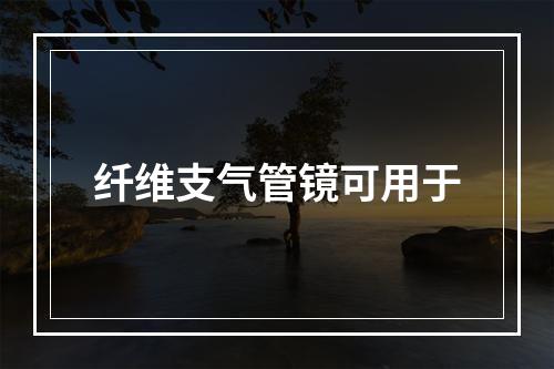 纤维支气管镜可用于