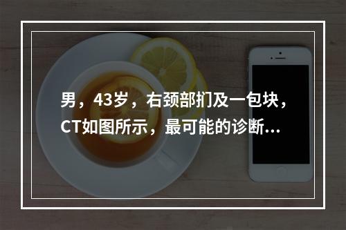 男，43岁，右颈部扪及一包块，CT如图所示，最可能的诊断是(