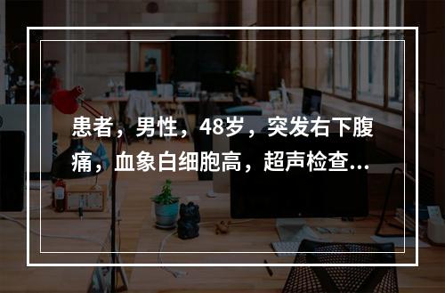 患者，男性，48岁，突发右下腹痛，血象白细胞高，超声检查如图