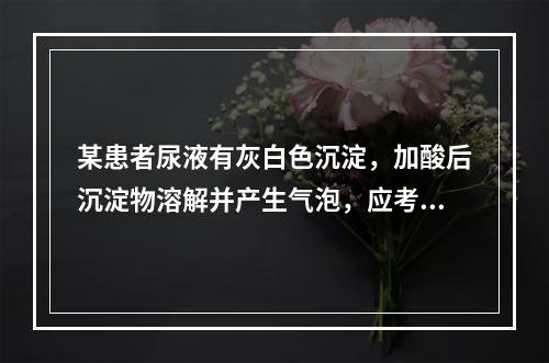 某患者尿液有灰白色沉淀，加酸后沉淀物溶解并产生气泡，应考虑