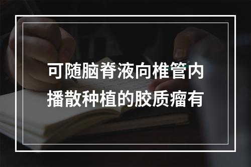 可随脑脊液向椎管内播散种植的胶质瘤有