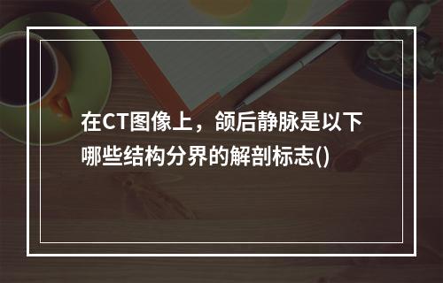 在CT图像上，颌后静脉是以下哪些结构分界的解剖标志()