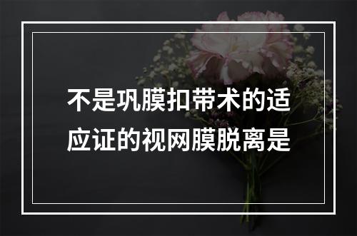 不是巩膜扣带术的适应证的视网膜脱离是