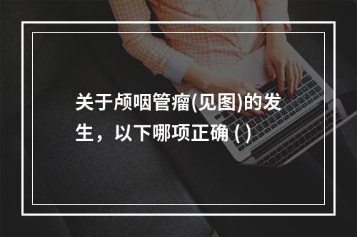 关于颅咽管瘤(见图)的发生，以下哪项正确 ( )