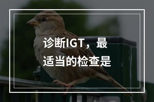 诊断IGT，最适当的检查是