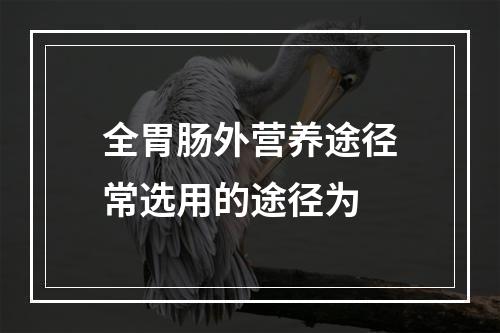 全胃肠外营养途径常选用的途径为