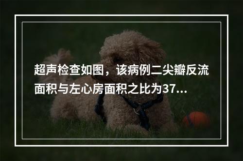 超声检查如图，该病例二尖瓣反流面积与左心房面积之比为37%，