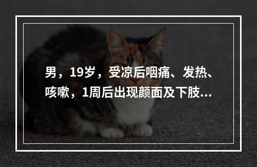 男，19岁，受凉后咽痛、发热、咳嗽，1周后出现颜面及下肢水肿