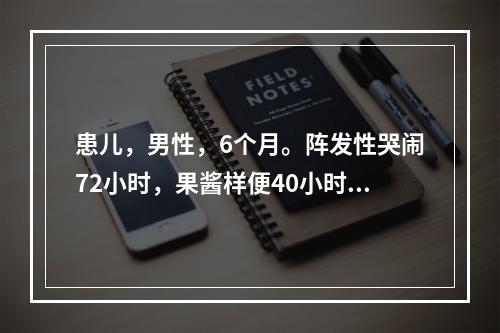 患儿，男性，6个月。阵发性哭闹72小时，果酱样便40小时，精