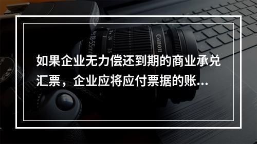 如果企业无力偿还到期的商业承兑汇票，企业应将应付票据的账面余