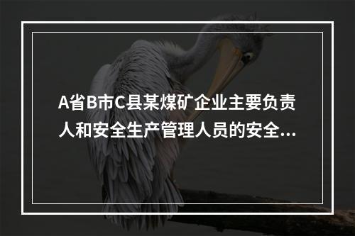 A省B市C县某煤矿企业主要负责人和安全生产管理人员的安全培训