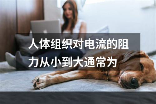 人体组织对电流的阻力从小到大通常为