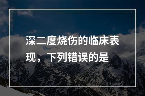 深二度烧伤的临床表现，下列错误的是