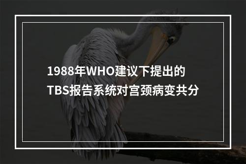 1988年WHO建议下提出的TBS报告系统对宫颈病变共分