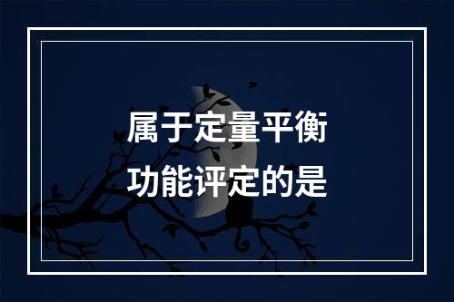 属于定量平衡功能评定的是