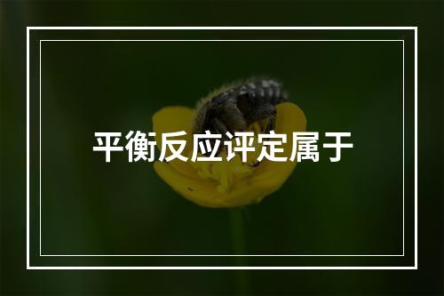 平衡反应评定属于