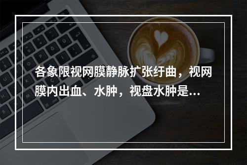 各象限视网膜静脉扩张纡曲，视网膜内出血、水肿，视盘水肿是下列