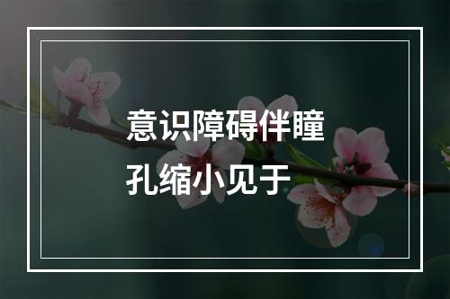 意识障碍伴瞳孔缩小见于