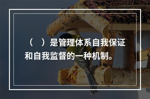 （　）是管理体系自我保证和自我监督的一种机制。