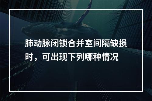 肺动脉闭锁合并室间隔缺损时，可出现下列哪种情况