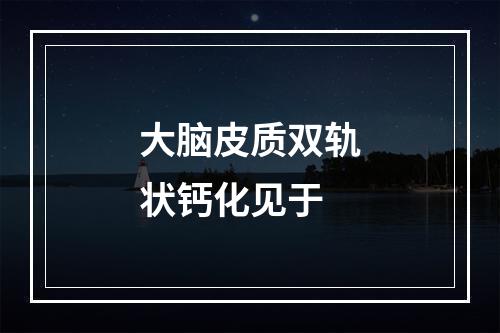 大脑皮质双轨状钙化见于