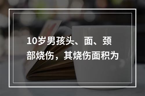 10岁男孩头、面、颈部烧伤，其烧伤面积为