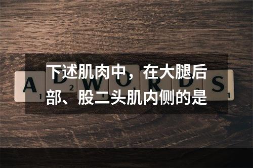 下述肌肉中，在大腿后部、股二头肌内侧的是