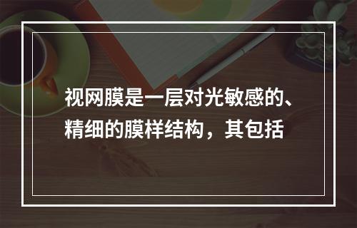 视网膜是一层对光敏感的、精细的膜样结构，其包括