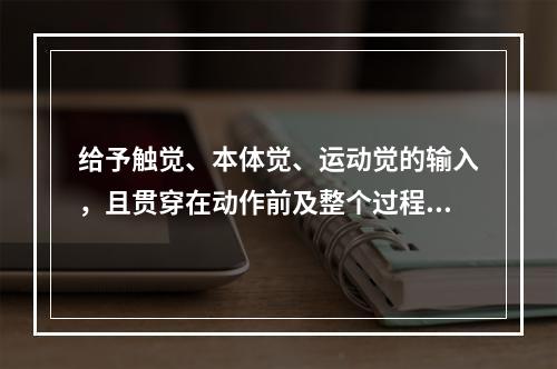 给予触觉、本体觉、运动觉的输入，且贯穿在动作前及整个过程中，