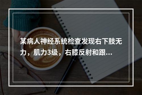 某病人神经系统检查发现右下肢无力，肌力3级，右膝反射和跟健反