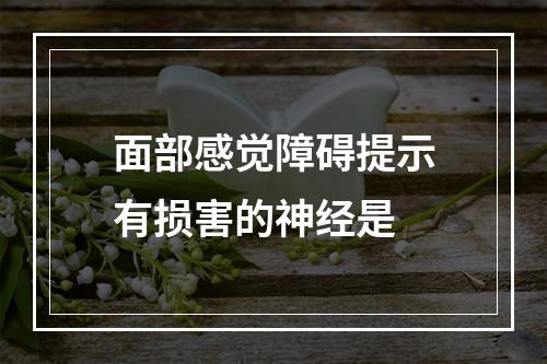 面部感觉障碍提示有损害的神经是