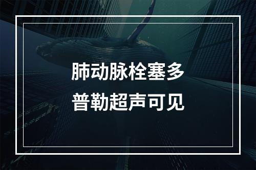 肺动脉栓塞多普勒超声可见