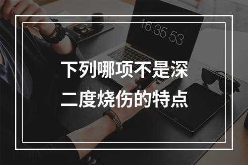 下列哪项不是深二度烧伤的特点