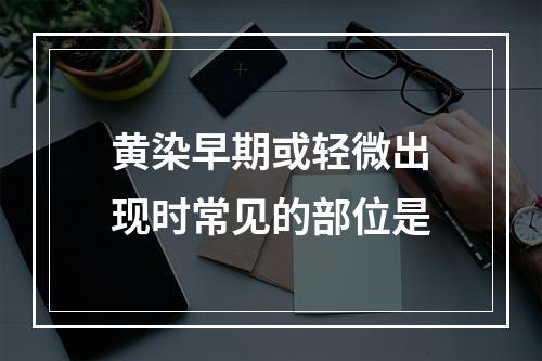 黄染早期或轻微出现时常见的部位是