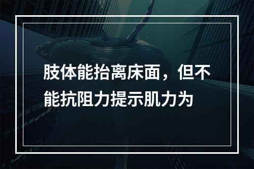 肢体能抬离床面，但不能抗阻力提示肌力为