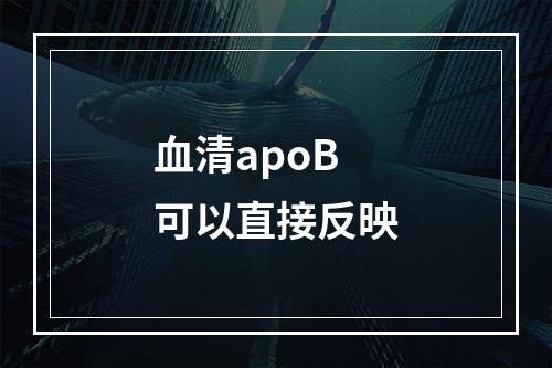 血清apoB可以直接反映