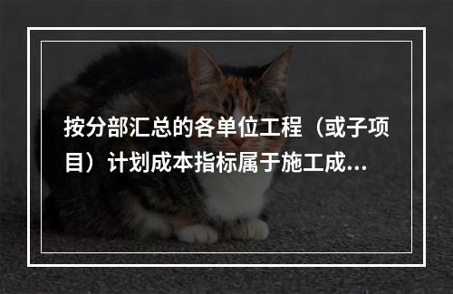 按分部汇总的各单位工程（或子项目）计划成本指标属于施工成本计