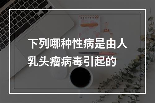 下列哪种性病是由人乳头瘤病毒引起的