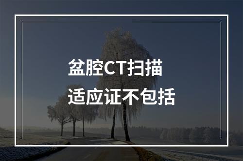 盆腔CT扫描适应证不包括