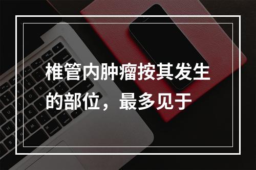 椎管内肿瘤按其发生的部位，最多见于