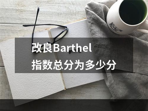 改良Barthel指数总分为多少分