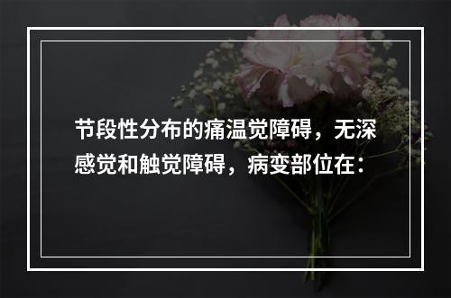 节段性分布的痛温觉障碍，无深感觉和触觉障碍，病变部位在：