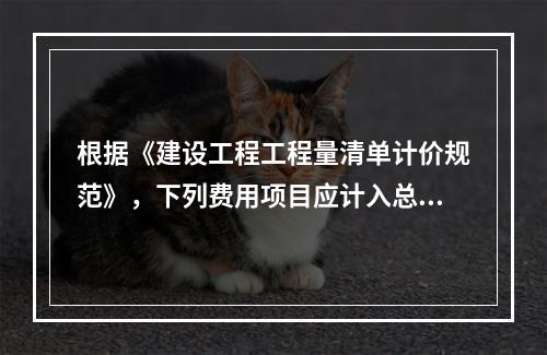 根据《建设工程工程量清单计价规范》，下列费用项目应计入总承包