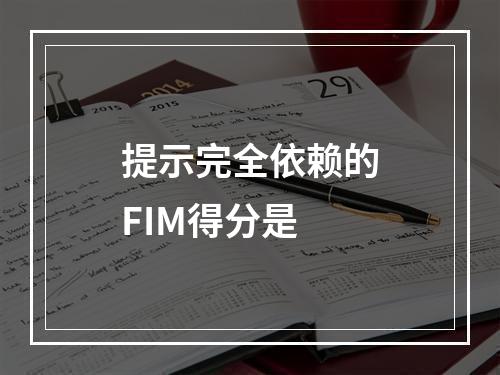 提示完全依赖的FIM得分是